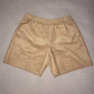 Aritzia Babaton suede shorts